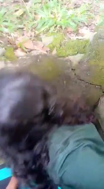 Malki මල්කි Sinhala Sri Lankan Sex Videos