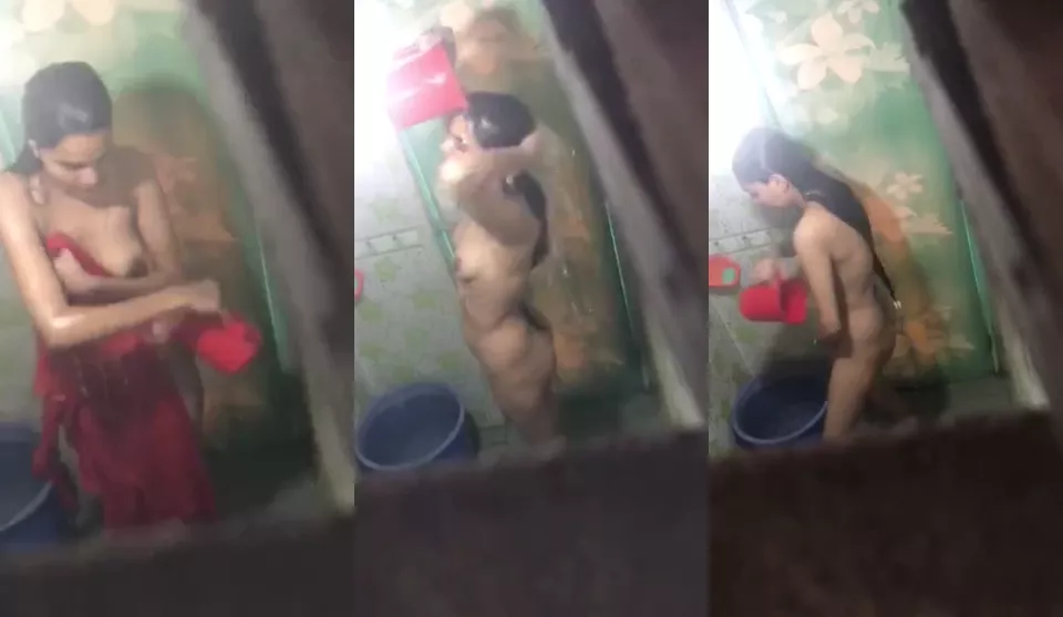 elephant house nangi