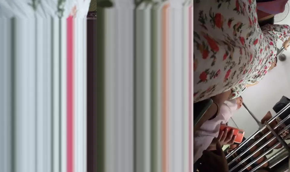 sri lankan bus sex videos